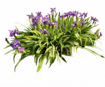 Modern Flowers And Grass-ID:737369145