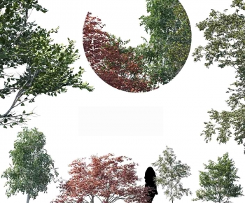 Modern Tree-ID:193577052