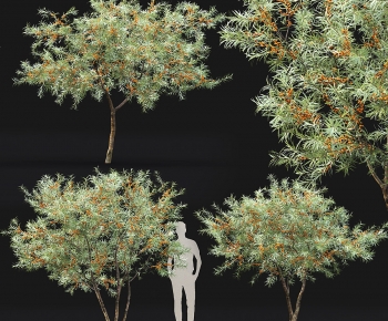 Modern Tree-ID:101540122