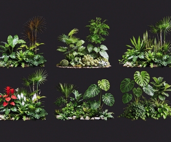 Modern Plant Pile-ID:789607056