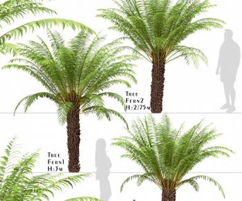 Modern Tree-ID:143127928