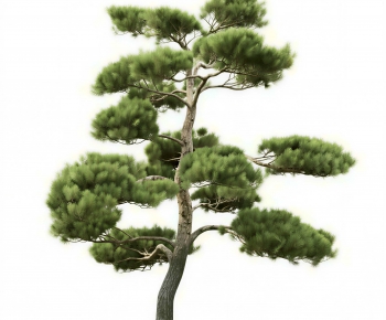 Modern Tree-ID:454178098