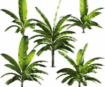 Modern Tree-ID:114799028