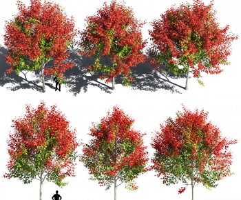 Modern Tree-ID:252120022