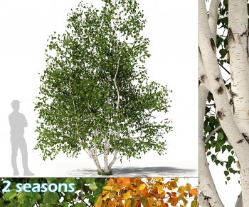 Modern Tree-ID:991230967