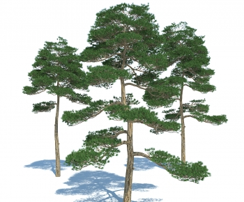 Modern Tree-ID:470601089