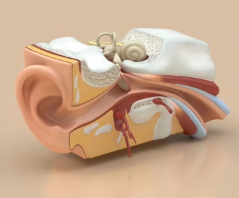 Modern Medical Equipment-ID:519711028