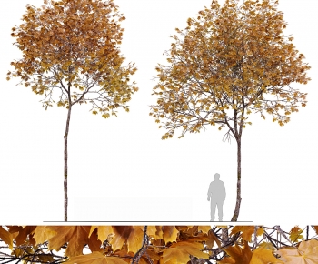 Modern Tree-ID:164443027