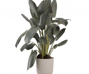 Modern Ground Green Plant Potted Plants-ID:681046963