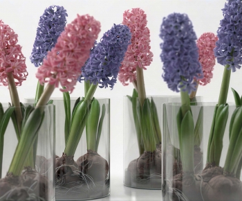 Modern Flowers-ID:213692907
