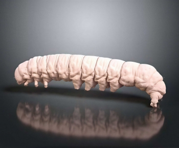Modern Other Animals-ID:752259972