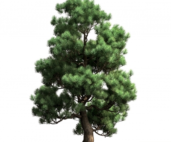 Modern Tree-ID:286951188