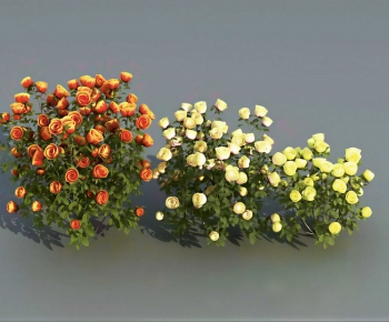 Modern Flowers And Grass-ID:971930032