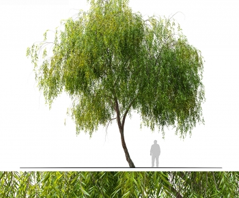 Modern Tree-ID:411998998