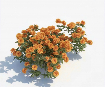 Modern Tree/shrub/grass-ID:101521044