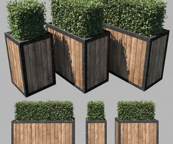 Modern Flower Bed, Flower Bowl, Flower Box-ID:132127058