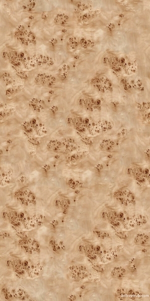 ModernWood Texture