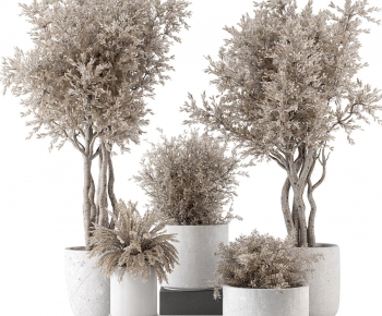 Modern Ground Green Plant Potted Plants-ID:104188996