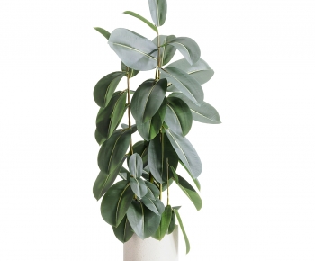 Modern Ground Green Plant Potted Plants-ID:973659041