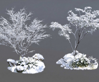 Modern Tree-ID:455511094