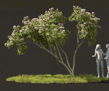 Modern Tree-ID:469152935