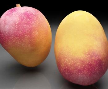 Modern Fruit-ID:568334101