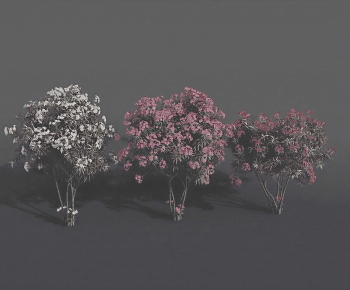 Modern Tree-ID:942595013