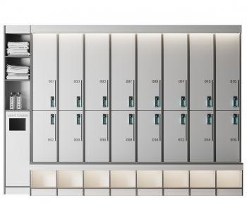 Modern Public Cabinet/lock Cabinet-ID:145819224