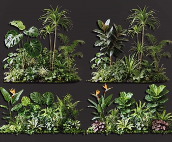 Modern Plant Pile-ID:961782936