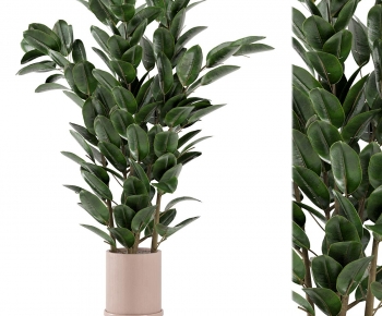 Modern Ground Green Plant Potted Plants-ID:772355089