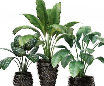 Modern Ground Green Plant Potted Plants-ID:819005011