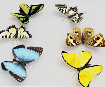 Modern Flying Animals-ID:821948058
