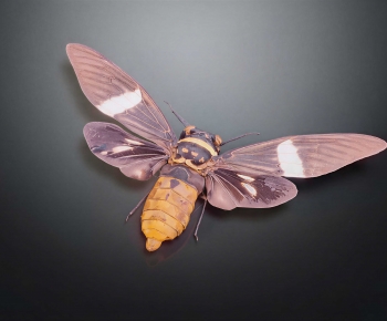 Modern Flying Animals-ID:664904124