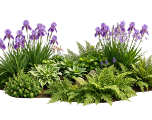 ModernPlant Leaves
