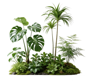 ModernPlant Leaves
