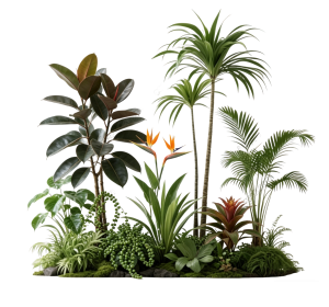 ModernPlant Leaves