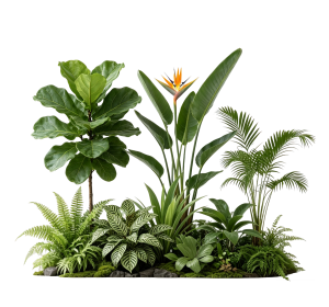 ModernPlant Leaves