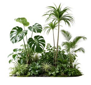ModernPlant Leaves