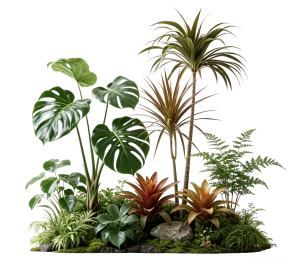 ModernPlant Leaves