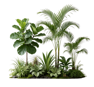 ModernPlant Leaves