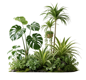 ModernPlant Leaves