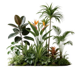 ModernPlant Leaves
