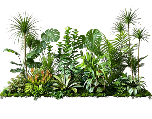 ModernPlant Leaves