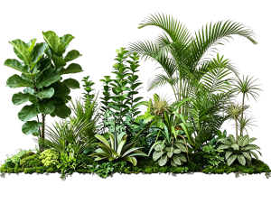 ModernPlant Leaves