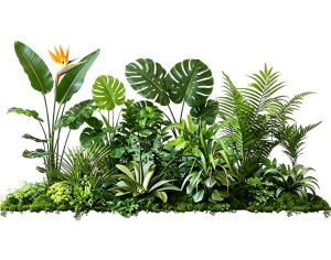 ModernPlant Leaves