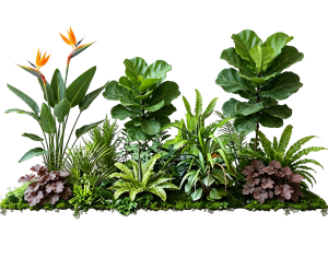 ModernPlant Leaves