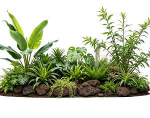 ModernPlant Leaves