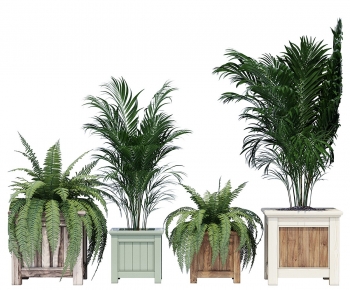 Modern Shrubbery-ID:281811008