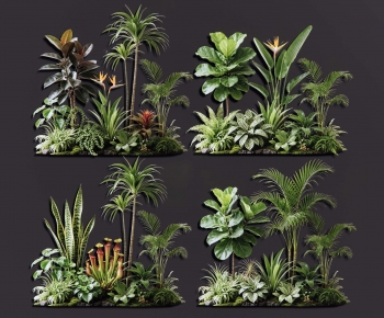 Modern Plant Pile-ID:506551034