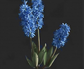 Modern Flowers And Grass-ID:898250105